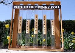 Penny Poll with Flowers